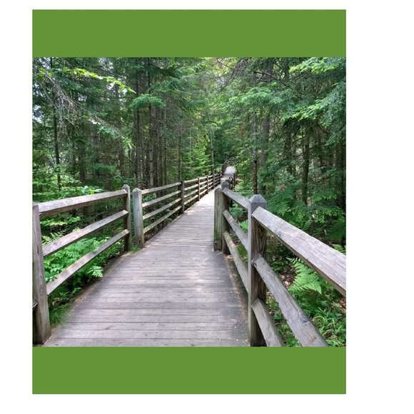 Journal Notebook Lined Paperback  6" x 9" - Picture 2 of 4